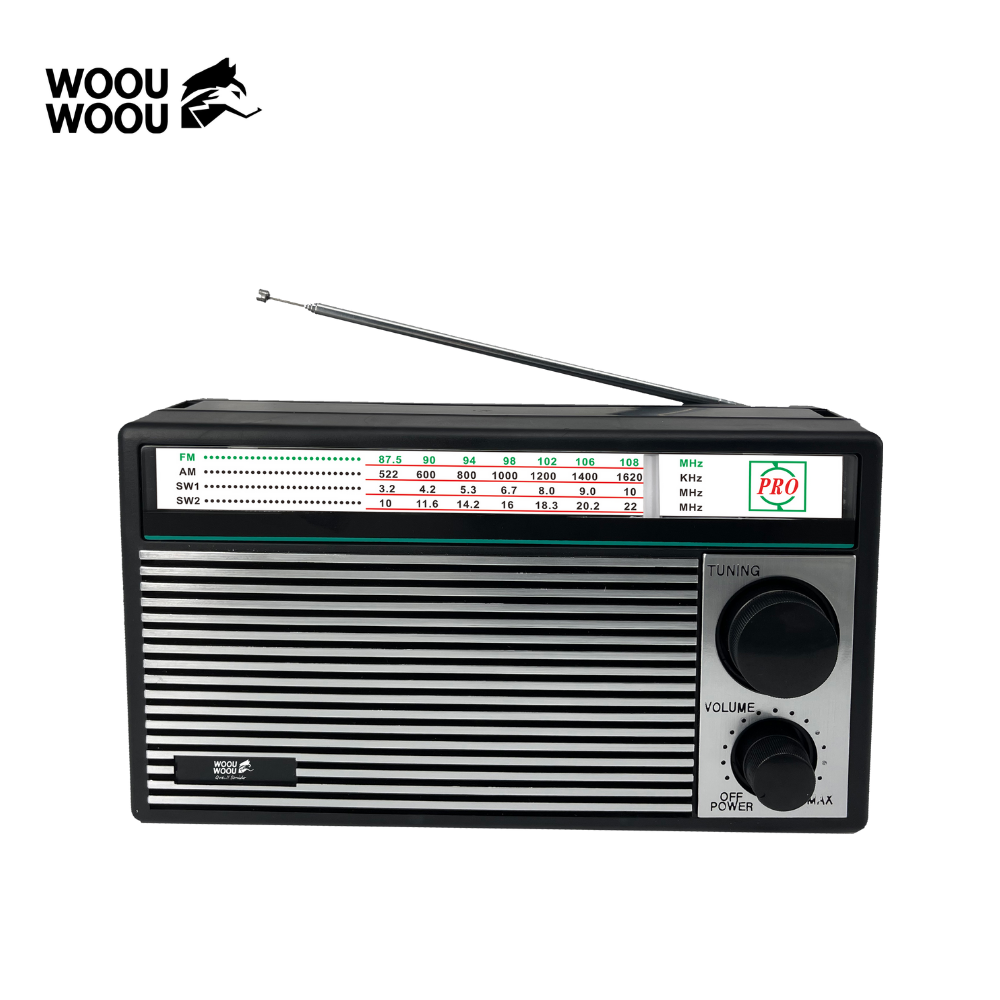Radio Portátil Multibanda Woou RA82