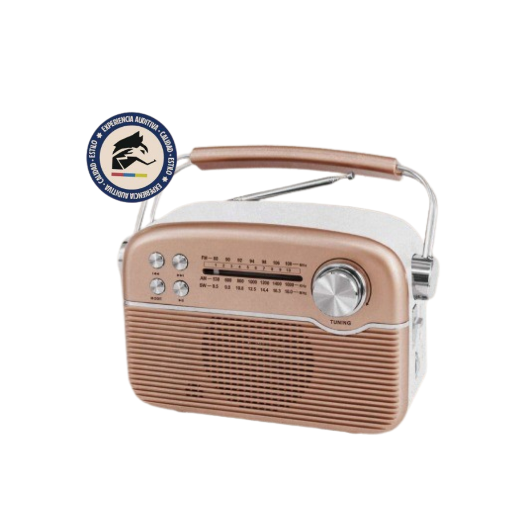 Radio Multibanda RA89 I Woou